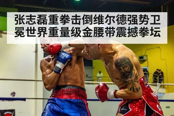 张志磊重拳击倒维尔德强势卫冕世界重量级金腰带震撼拳坛